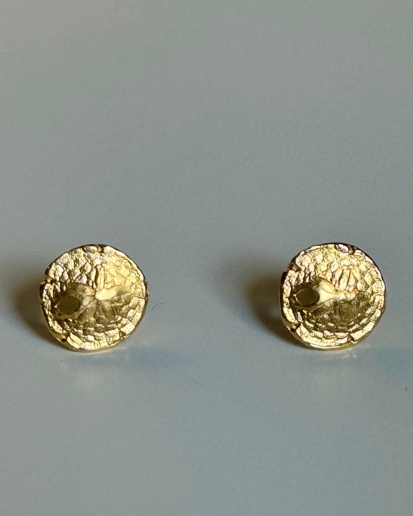 Sand Dollar Studs