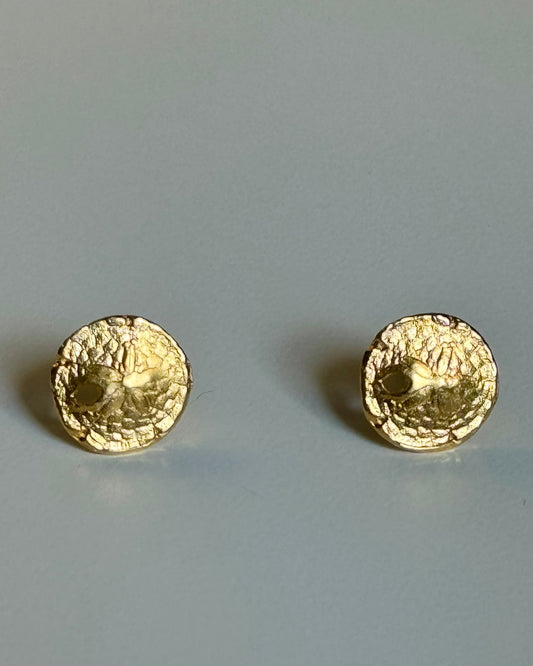 Sand Dollar Studs