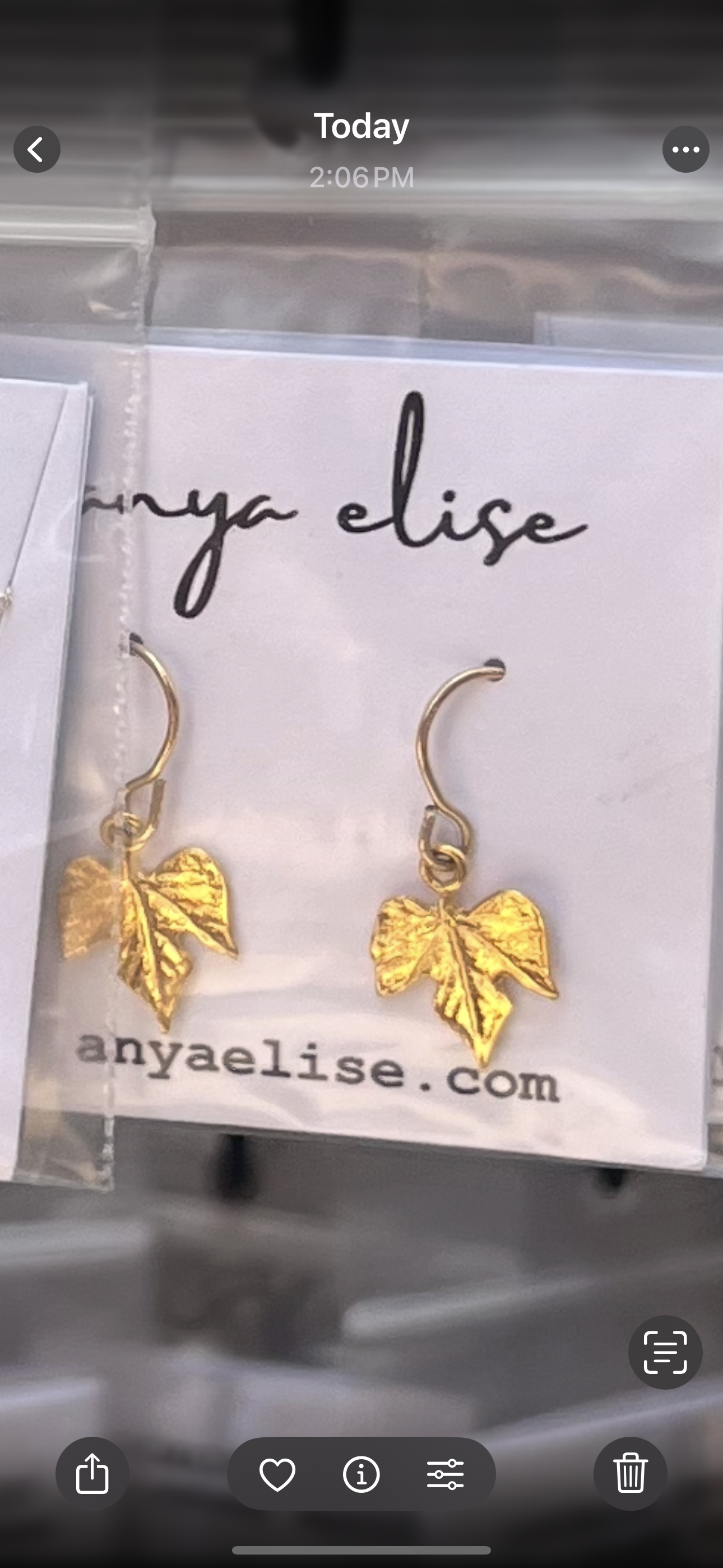 Angel Leaf Earrings