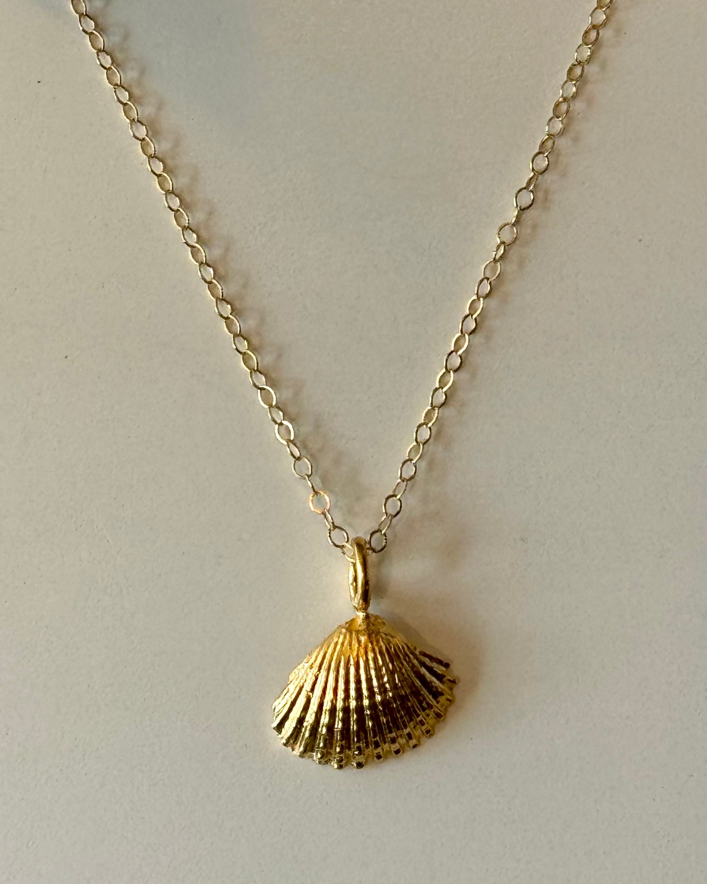 Shell Necklace