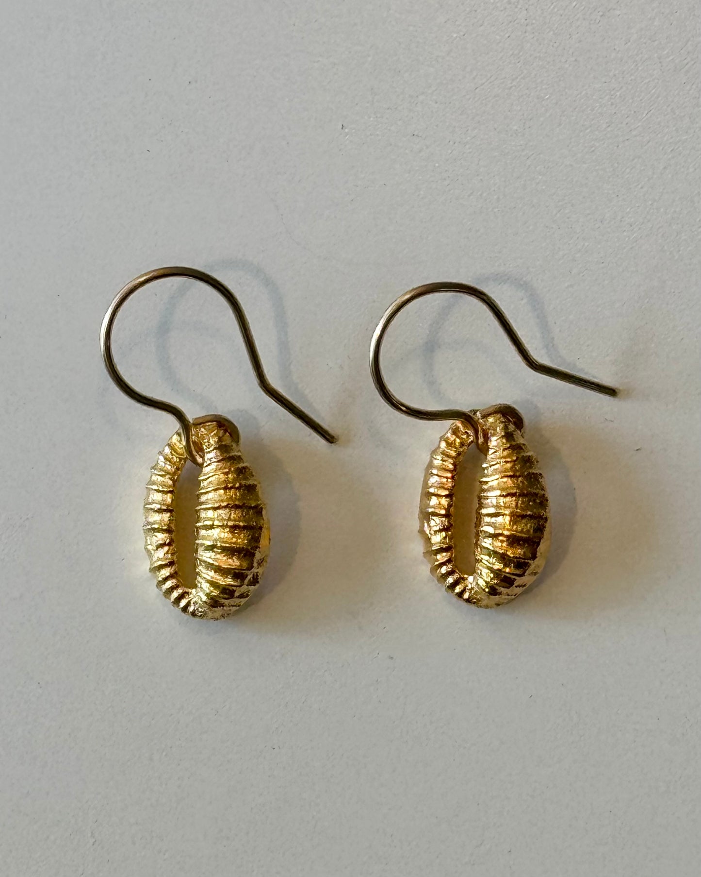 Cowrie Drop Earrings