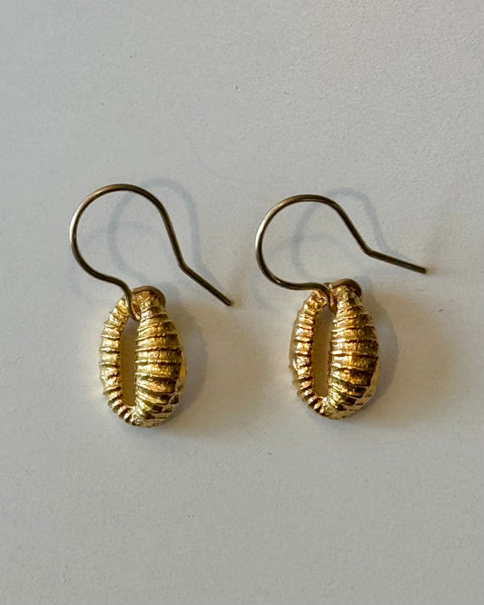 Cowrie Drop Earrings