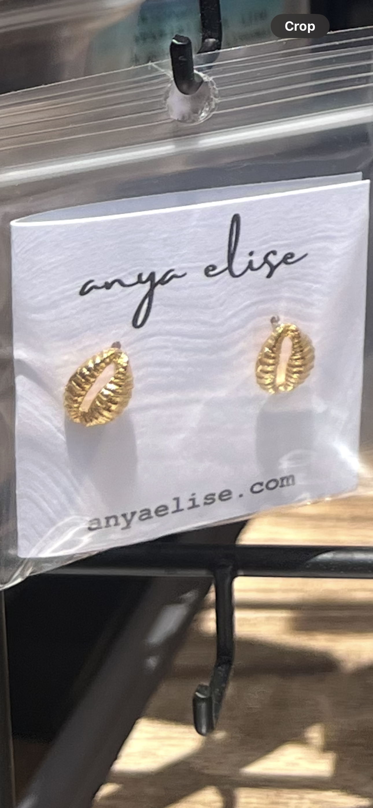 Cowrie Studs